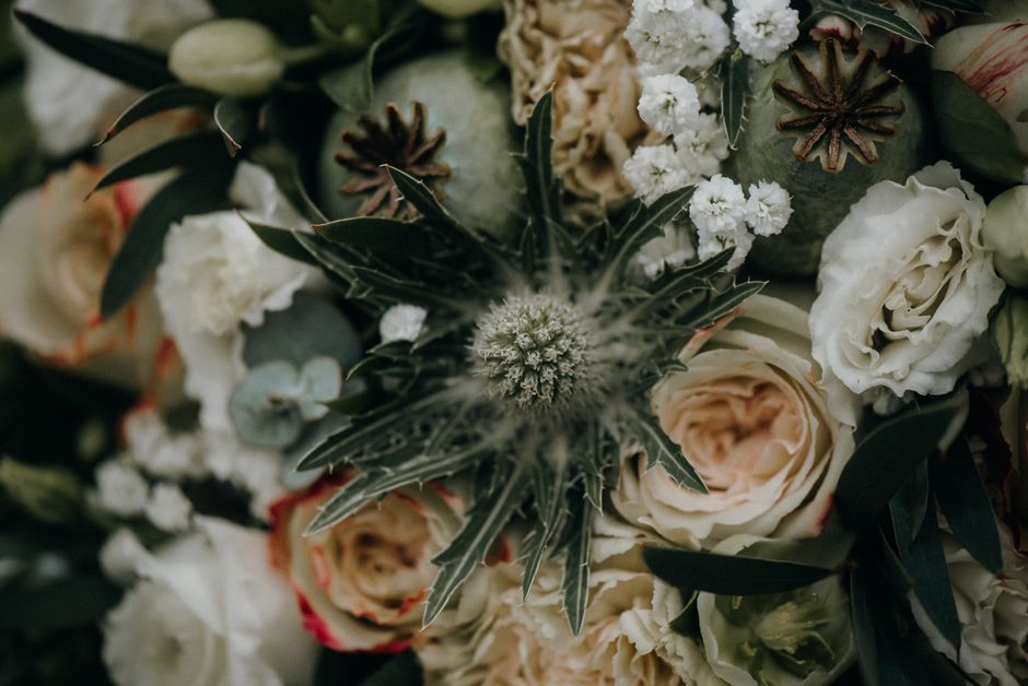 A close-up view of a floral arrangement featuring a mix of cream and blush roses, white carnations, and small white fillers, complemented by dark green, variegated foliage with spiky edges and a centr