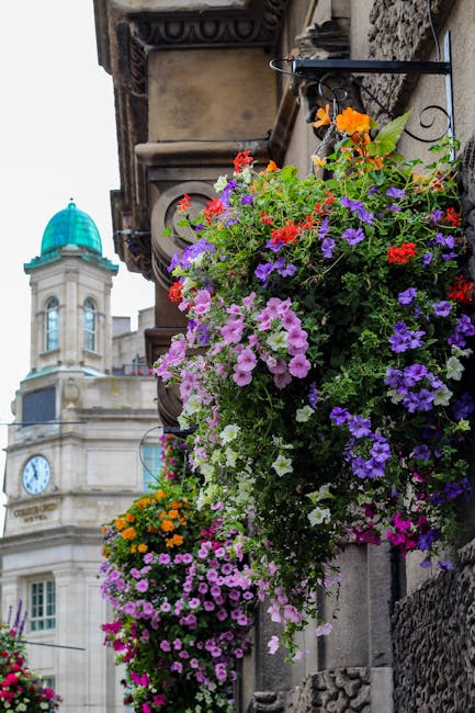 A vibrant display of Hanging flower baskets mounted on the stone facade of a building, filled with an array of fresh flowers including purple petunias, red geraniums, orange marigolds, white petunias,