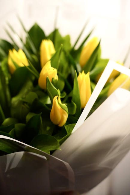 A bouquet of fresh yellow tulips with closed buds and vibrant green leaves, arranged in a white wrapping paper with a subtle sheen, resting on a surface indoors. The tulips are arranged in a dense, ro